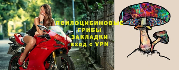 спиды Алзамай