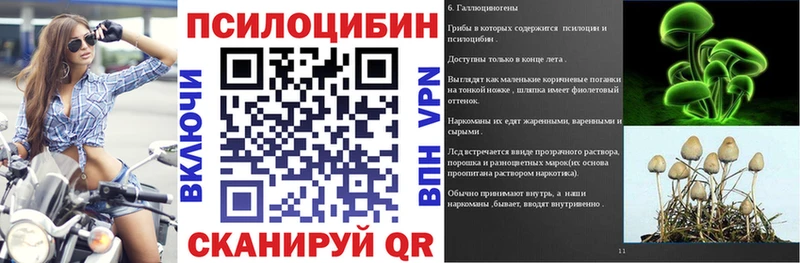 OMG зеркало  Борзя  Псилоцибиновые грибы Psilocybe 